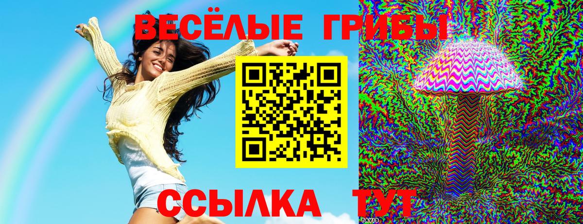 Шебекино  Галлюциногенные грибы ЛСД  Вход с VPN  Галлюциногенные грибы ЛСД 