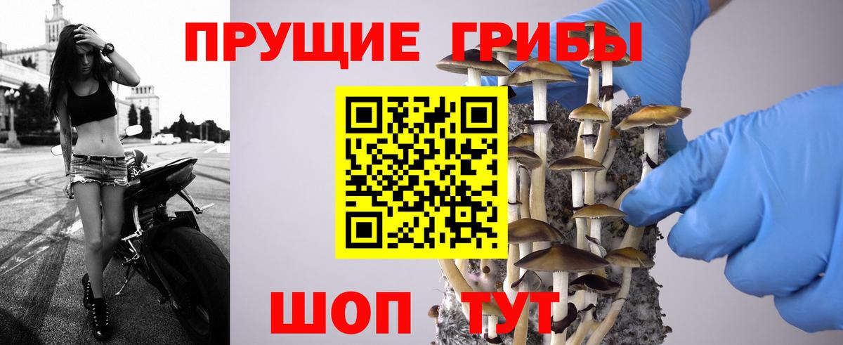 Галлюциногенные грибы прущие грибы Шебекино